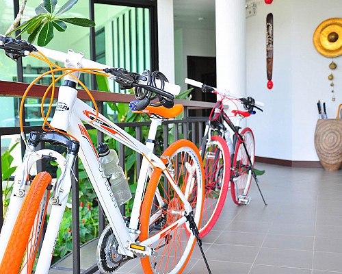 Free bicycle rental & Fitness